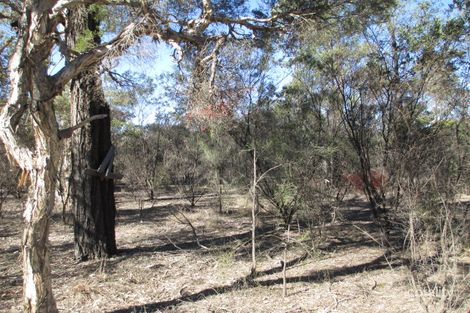 Property photo of 105 Winfield Road Tara QLD 4421