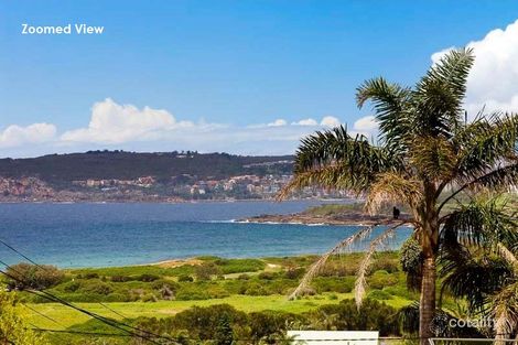 Property photo of 48 Griffin Road North Curl Curl NSW 2099