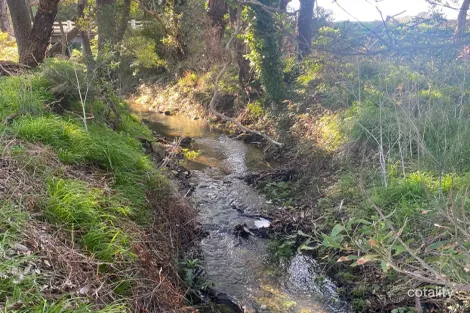 Property photo of 115 Heath Road Portland West VIC 3305