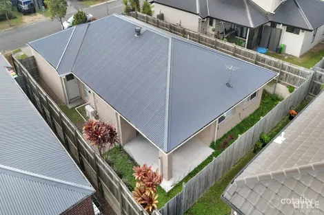 Property photo of 55 Dubai Circuit Spring Mountain QLD 4300