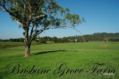 263 Martins Creek Rd, Paterson, NSW 2421