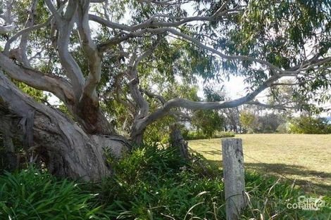 Property photo of 147 Annetts Parade Mossy Point NSW 2537