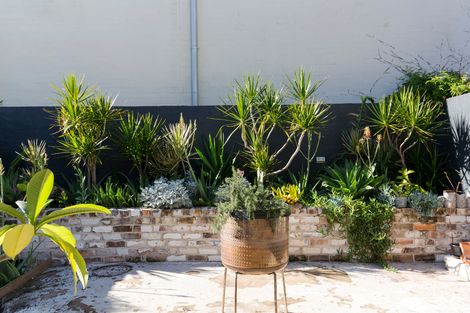 Property photo of 15 Nelson Street Annandale NSW 2038