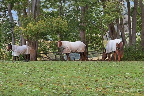 Property photo of 425 Friday Hut Road Possum Creek NSW 2479