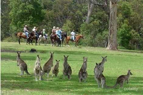 14 Dawan Cl, Kendall, NSW 2439