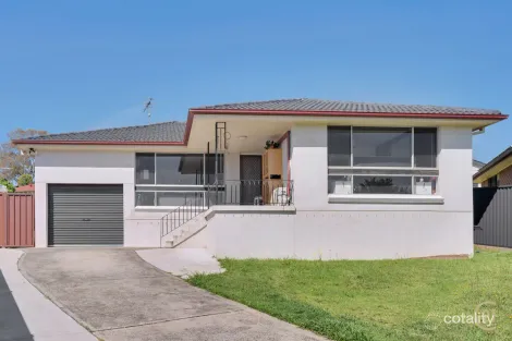 Property photo of 6 Ray Place Minto NSW 2566