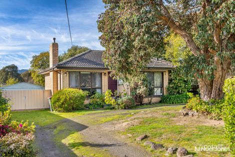 Property photo of 17 Macey Street Croydon South VIC 3136