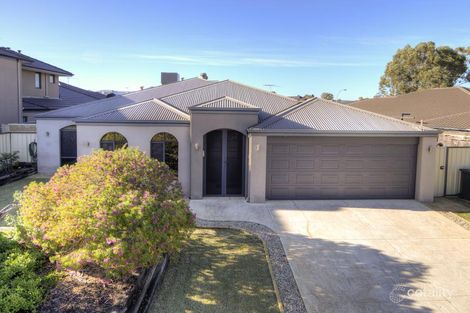 17 Lancelot Grn, Wattle Grove, WA 6107