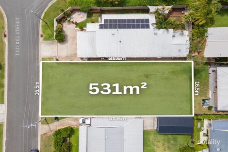 4 Figtree St, Coomera, QLD 4209