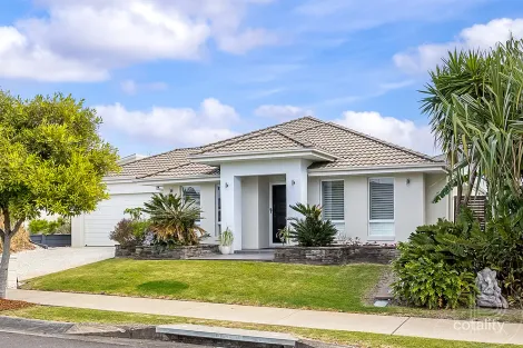 Property photo of 25 Tibouchina Street Mountain Creek QLD 4557