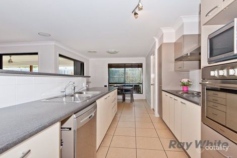 Property photo of 42 Tosca Street Cashmere QLD 4500
