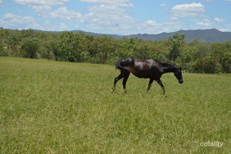 693 Wolfram Rd, Dimbulah, QLD 4872