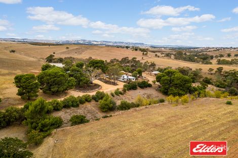 Property photo of 30 Harvey Road Lyndoch SA 5351
