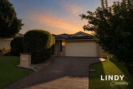 Property photo of 24 Willcox Avenue Singleton Heights NSW 2330