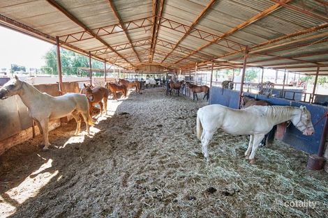 2031 Millwood Rd, Coolamon, NSW 2701