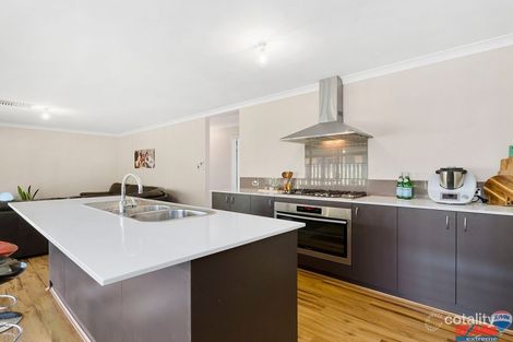 Property photo of 16 Manningtree Approach Butler WA 6036