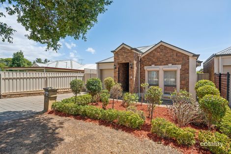 Property photo of 2A Glenton Street Campbelltown SA 5074