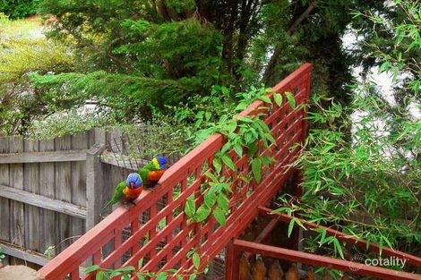 Property photo of 7 Robert Street Montmorency VIC 3094