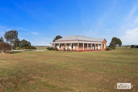 Property photo of 341 Eurambeen-Raglan Road Raglan VIC 3373