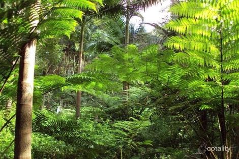 Property photo of 7 High Street Lismore NSW 2480