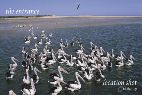 11/9 Marine Pde, The Entrance, NSW 2261