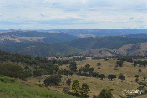 1036 Greenmantle Rd, Bigga, NSW 2583