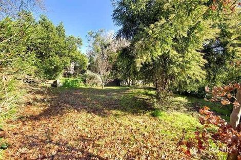 Property photo of 15 Rotherwood Avenue Ringwood East VIC 3135
