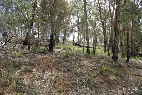 385 Blomfield Rd, Yarrowitch, NSW 2354