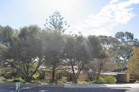 1143 Lower North East Rd, Highbury, SA 5089