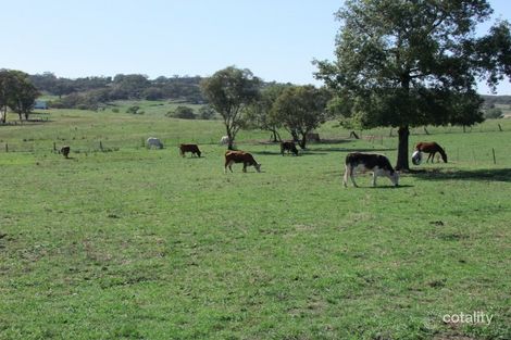 Property photo of 159 Garra Road Molong NSW 2866