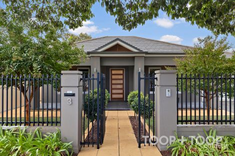 3 Shelley St, Firle, SA 5070