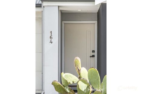 Property photo of 164 Jolly Rambler Boulevard Ravenswood WA 6208