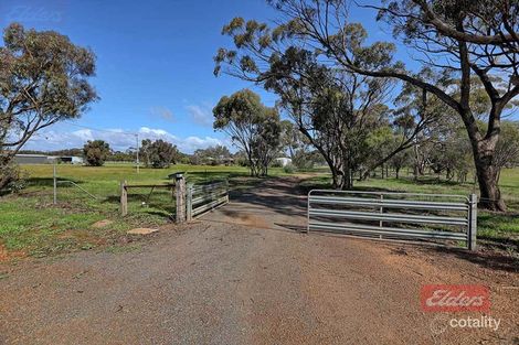 Property photo of 80 Johnston Street Wagin WA 6315