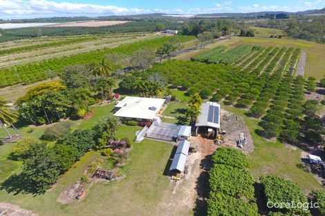 Property photo of 460 Springs Road Paddys Green QLD 4880