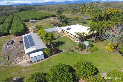 Property photo of 460 Springs Road Paddys Green QLD 4880