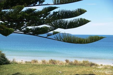 Property photo of 67 Quay Road Callala Beach NSW 2540