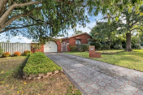 Property photo of 38 McEwin Avenue Redwood Park SA 5097