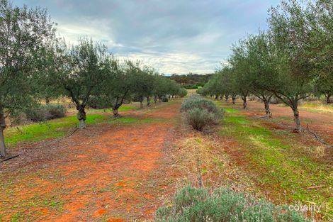 Property photo of 81 Tenth Road York WA 6302