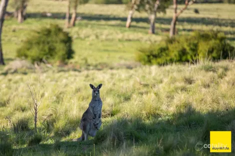 15 Karina Cl, Armidale, NSW 2350