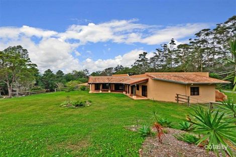Property photo of 22 Golden Rain Lane Eumundi QLD 4562