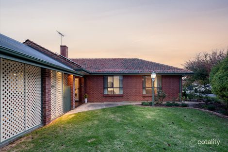 Property photo of 30 Meredith Avenue Glengowrie SA 5044