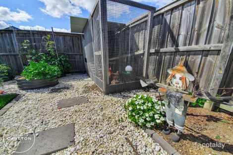 Property photo of 31 Bold Street Renwick NSW 2575