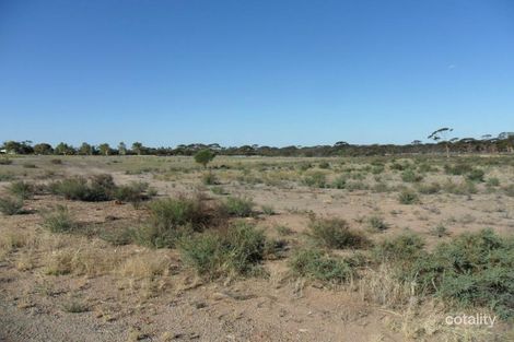 100 Watts St, Cunderdin, WA 6407