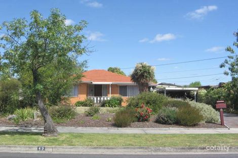 Property photo of 12 Matlock Avenue Mulgrave VIC 3170