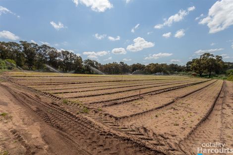 49 Wattle Ave W, Nowergup, WA 6032