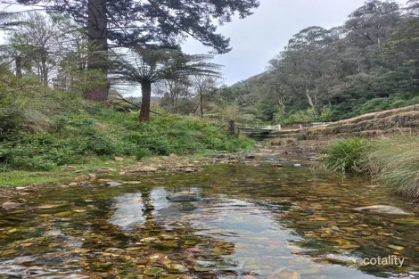 Property photo of 181 Main Road Walhalla VIC 3825