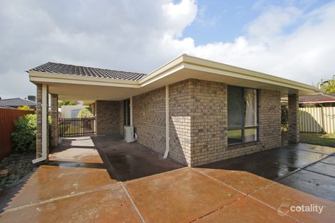 77a Rostrata Ave, Willetton, WA 6155