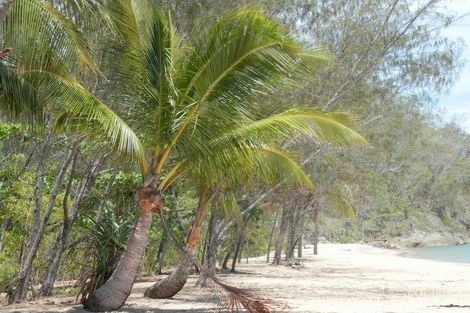 Property photo of 24 Northcote Street Trinity Park QLD 4879