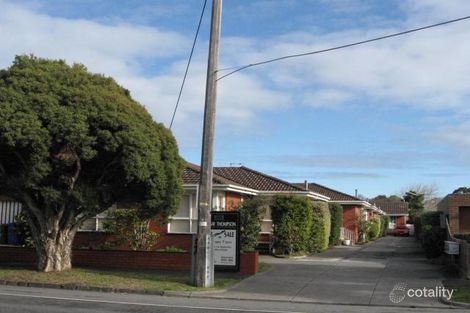 3/121 Cochrane St, Brighton, VIC 3186