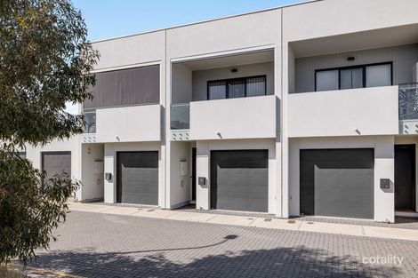 19 Ambleside Pl, Morphettville, SA 5043
